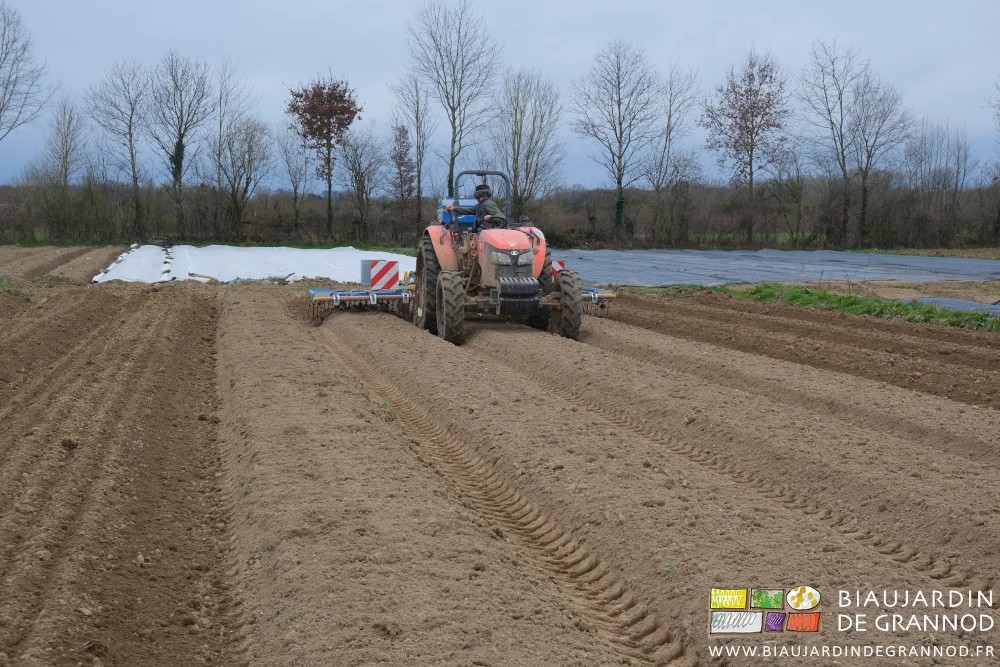 photo en mars de herse étrille semant 3 planches de fèverole simultanément