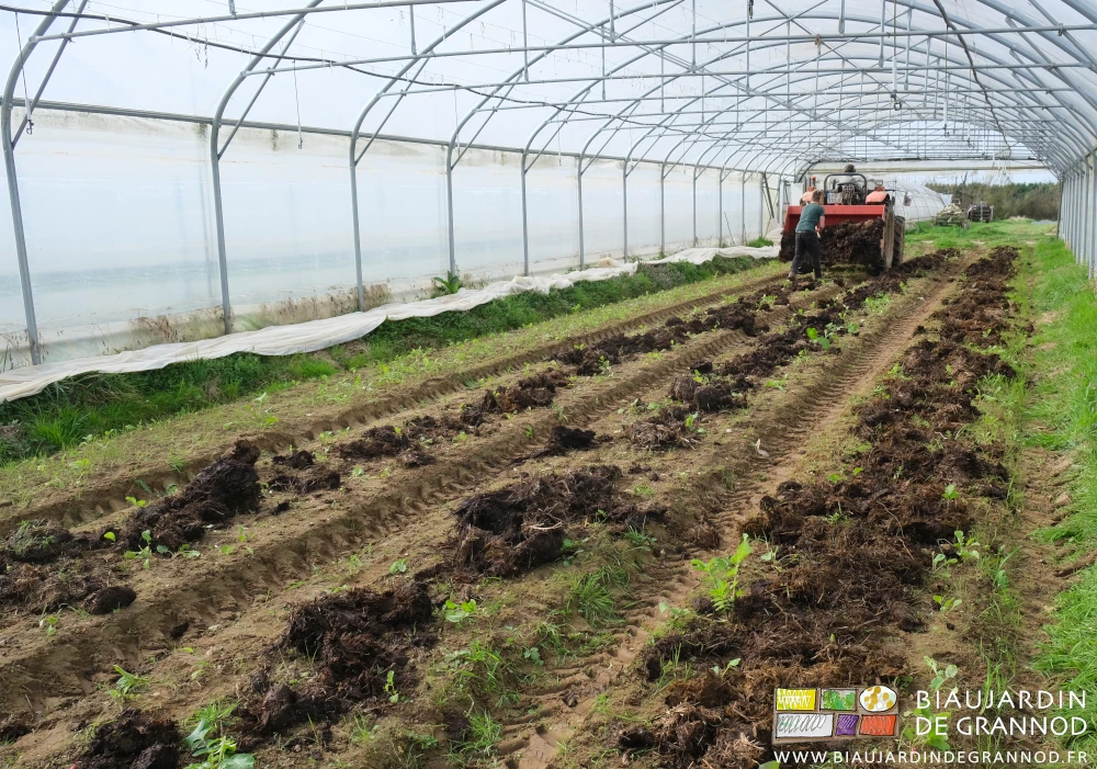 photo d'ensemble des 4 planches d'un tunnel en cours de couverture par du fumier composté