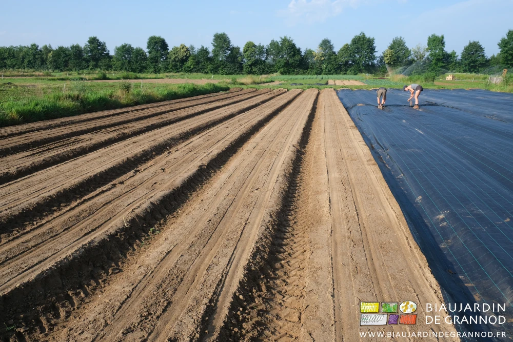 photo de 2 Biaux Jardiniers courbés à ré enfoncer les agrafes de fixation des bâches remises en place