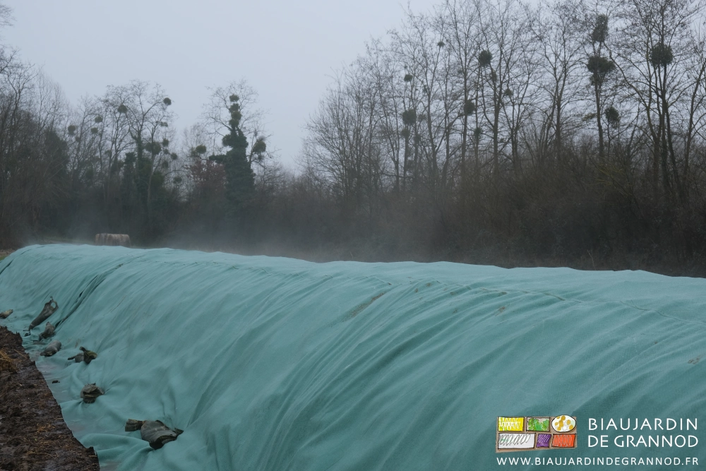 photo de vapeur d'eau traversant la couverture toptex du tas de fumier qui composte