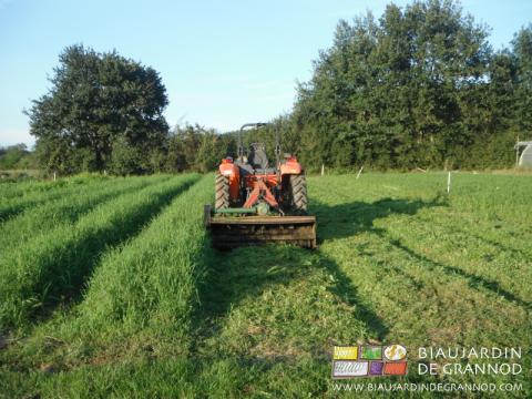 photo de broyage de planches semées en seigle principalement