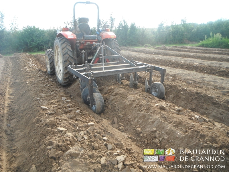 photo de butteuse au travail, elle forme la planche et bine l’allée