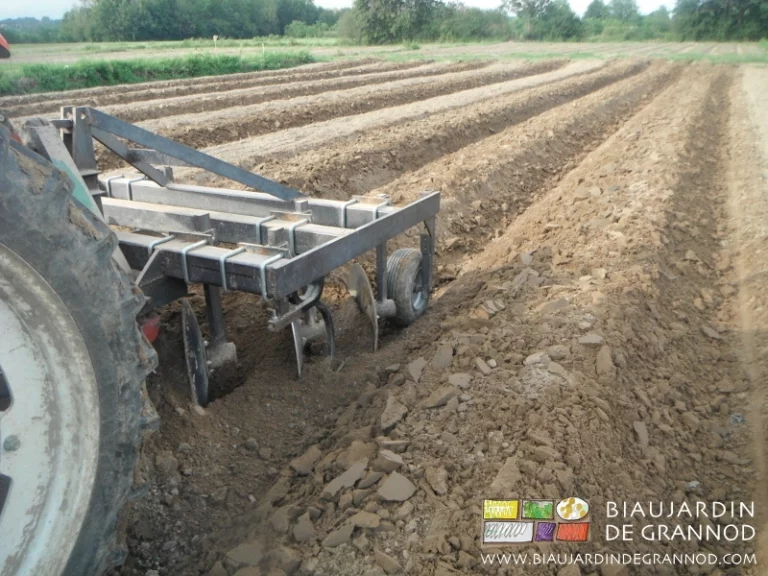 photo de la butteuse montant des planches permanentes en début de saison