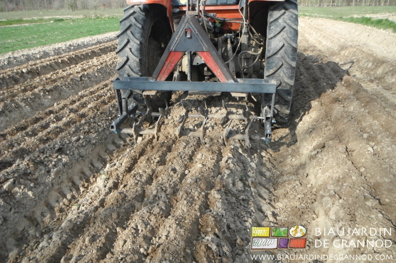photo du travail de surface obtenu avec le bâti arrière de bêches seul
