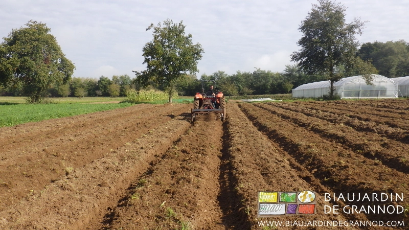 photo de reprise de planche au cultibutte avec bogie vibro avant semis d'engrais vert