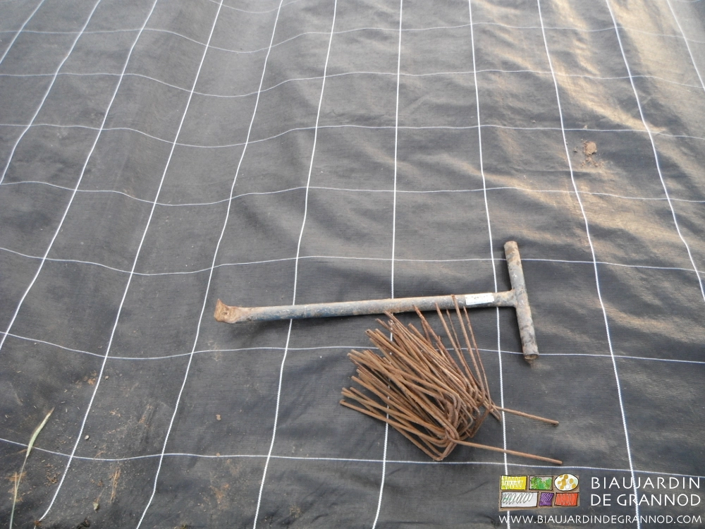 photo d'un paquet d'agrafes à coté du tire-agrafe