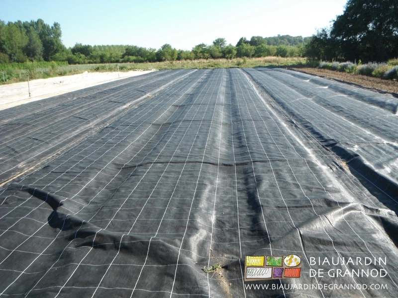photo des toiles d'occultation en place en remplacement de solarisation
