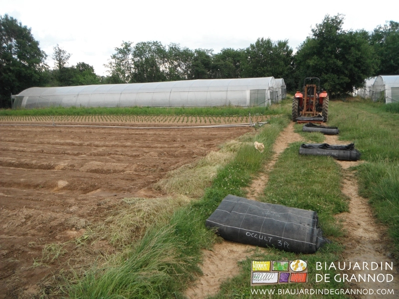photo des toiles pliées à ranger