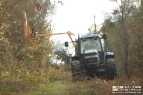 photo de taille de haie au tracteur avec le sécateur hydraulique qui coupe proprement