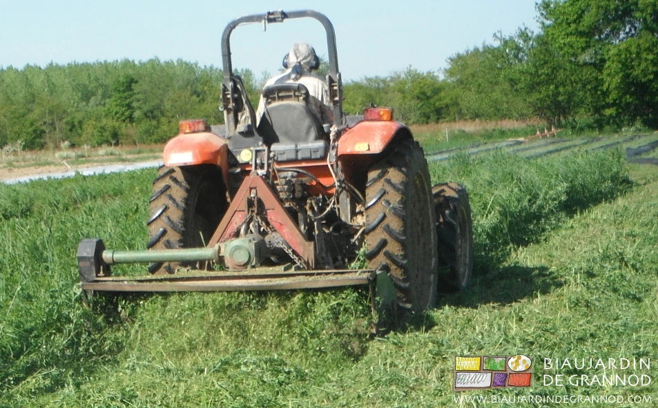 photo du travail avec le vieux broyeur arrière toujours en forme