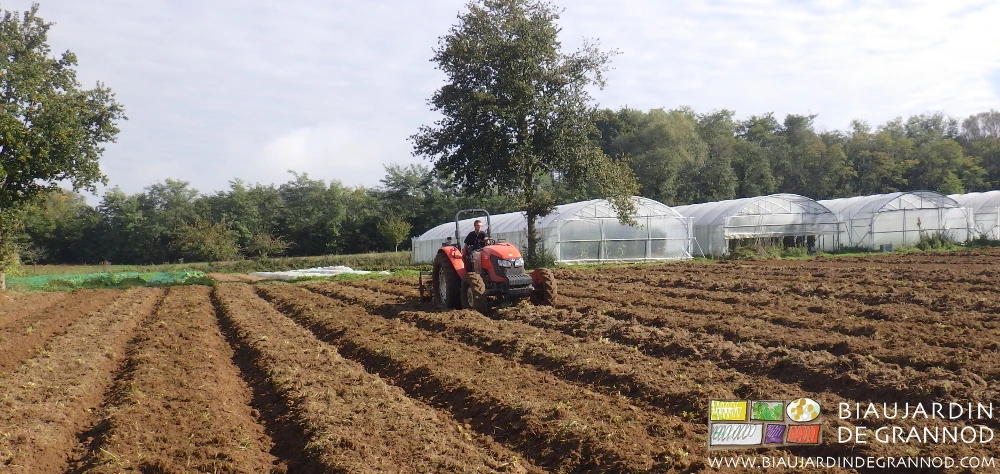 photo de Matthieu au cultibutte pour reprise des engrais verts buttés et fissuration du profil