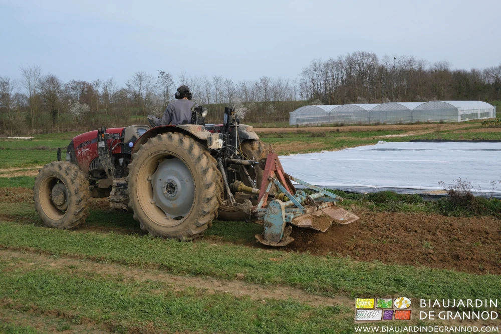 photo de Vivien en activité prolongée de déchaumage d'engrais vert au vieux rotovator