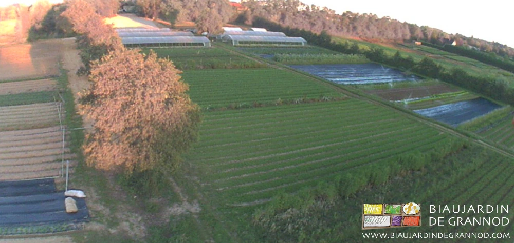 photo par drone du jardin avec sa grosse proportion de carrés en engrais ver pluri-annnuel