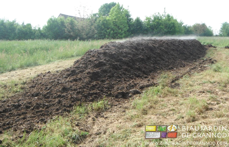 photo du tas dégageant la vapeur d’eau signe du démarrage de la fermentation du fumier de bovin