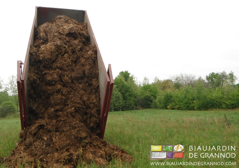 photo du bennage de la première livraison de fumier