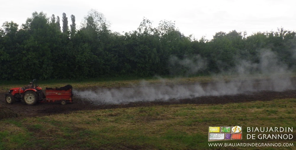 photo d'épandage en cours dans un carré d'engrais vert broyé,