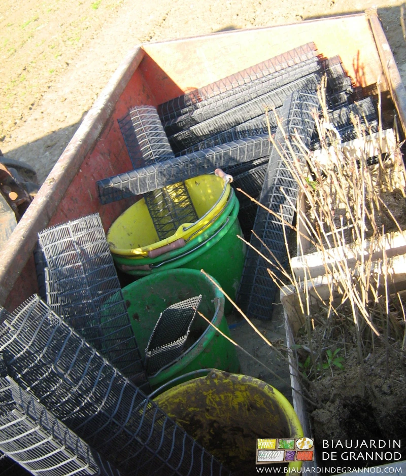 photo de seaux, protections et plants dans la benne 3 points du tracteur