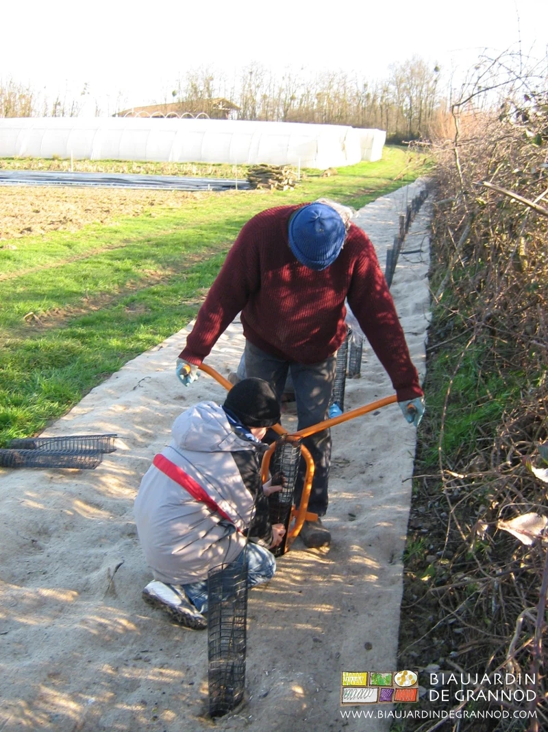 photo de Pascal tenant le plantoir ouvert pour que son fils installe le plant dans la terre