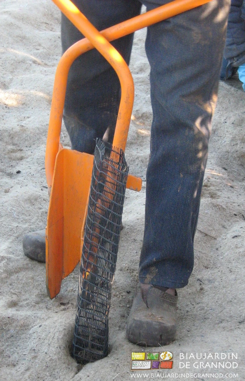 photo de Pascal remontant le plantoir après mise en place du plant