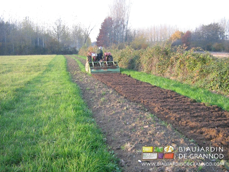 photo du résultat du bêchage des planches de la future haie
