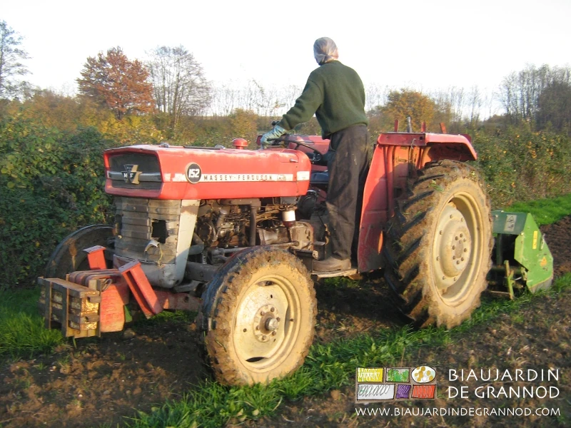 photo de Pascal sur le Massey passant la bêcheuse alternative