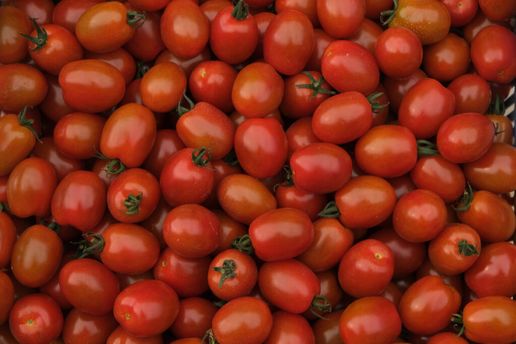 photo de tomate cerise en cagette