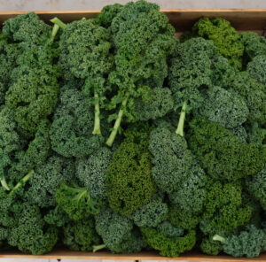 photo de chou non pommé frisé vert dit chou kale en caisse bois
