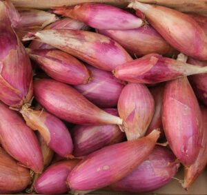 photo du joli rose de l'oignon de Simiane sec en caisse bois