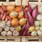 photo de cagette d'oignon échalote et ail en mélange de plusieurs variétés