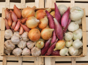 photo de cagette d'oignon échalote et ail en mélange de plusieurs variétés