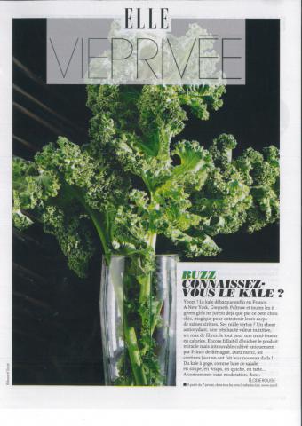 scan d'un article vantant le chou non pommé sous le nom kale