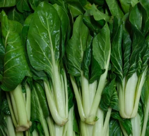 photo de bette italienne prête à la vente rangée en cagette bois