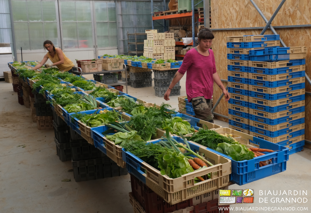 photo de l'équipe à la co,nfectyion des paniers de nos abonnés