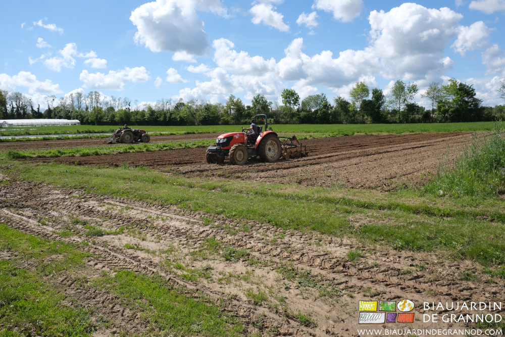 photo sous ciel bleu du travail en planche permanente au cultibutte