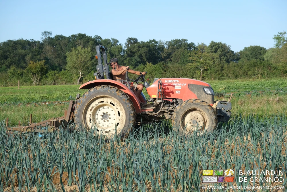 photo de Matthieu travaillant en torsion pour biner seul le poireau avec la BPO