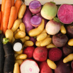 photo de légumes racine lavés en mélange avec rayon de soleil