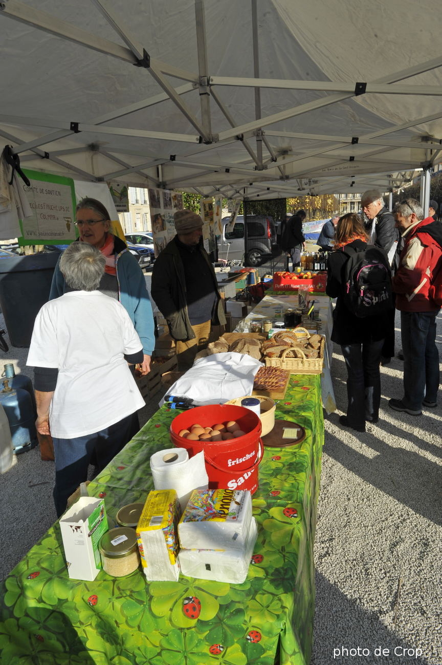 photo au soleil du stand de victuaille bio et sans OGM