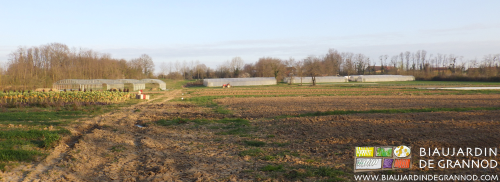 vue d'ensemble du jardin et ses travailleurs largement distanciés dans diverses actions maraîchères