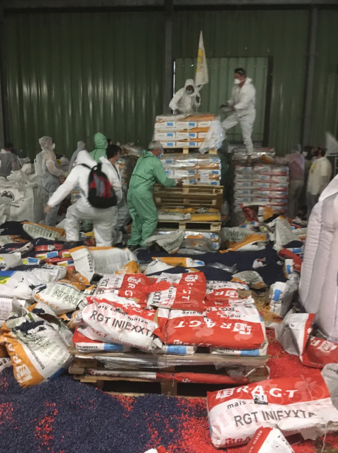 photo des sacs de semence OGM ouverts et méla,ngés pour entraver la commercialisation