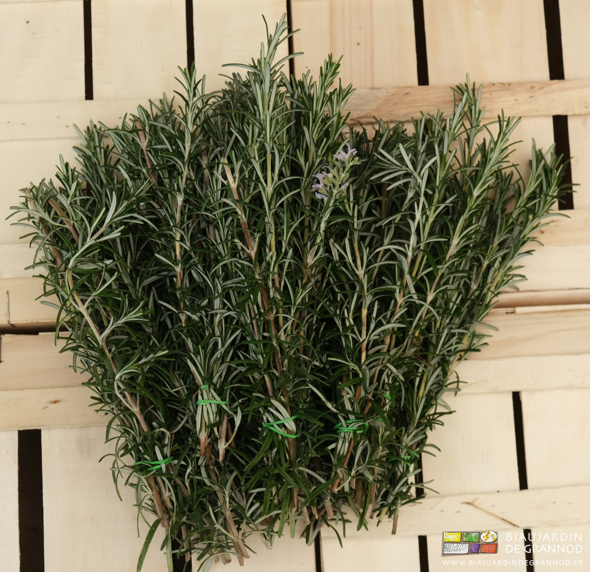 photo de bouquets de romarin sur une cagette bois