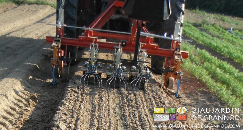 photo détaillée des éléments Duo de précision sur une planche de carotte