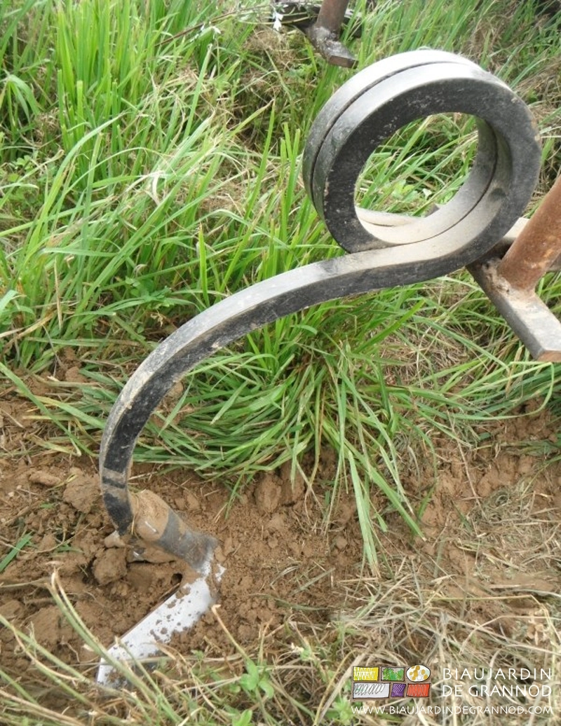 photo de dent à soc large et tige souple double spire binant superficiellement une allée permanente