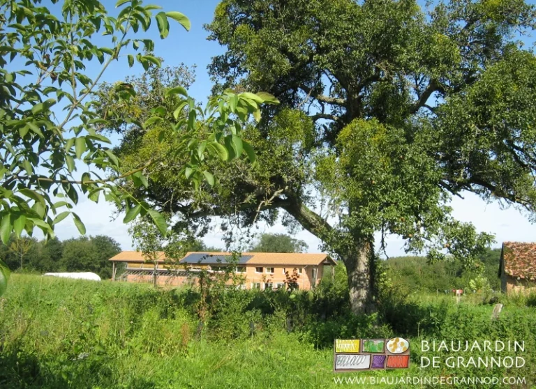 Vue Sud de notre bâtiment bioclimatique en brique dans le pré, un beau poirier en premier plan