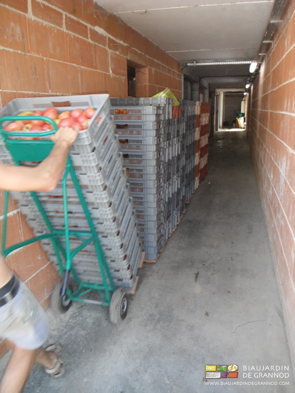 photo de piles de cagettes sur planchon reprises au diable