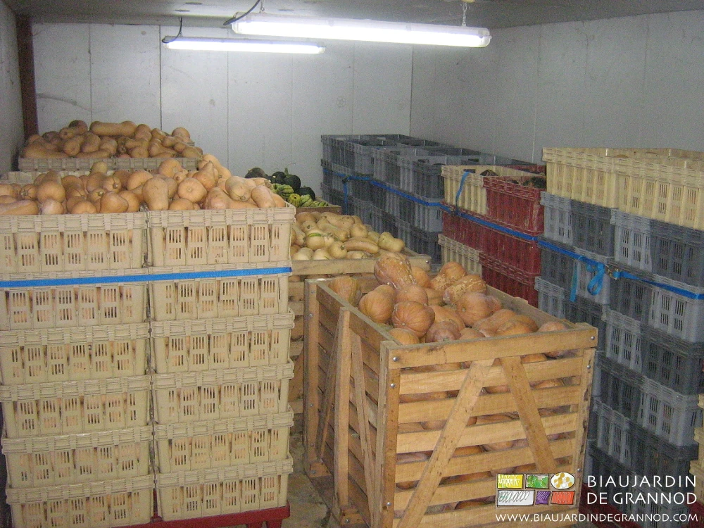 vue de palox et palettes de courges dans leur local tempéré et éclairé
