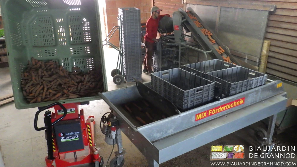 photo de Matthieu préparant seul un petite commande de carotte brossée avec 3 matériels économiques