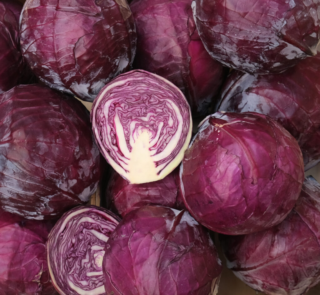photo de choux rouges rangés en cagette bois, dont un tranché