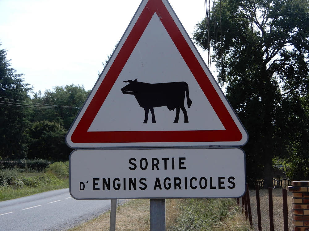 panneau indicateur danbger sortie d'engins agricoles orné d'une vache