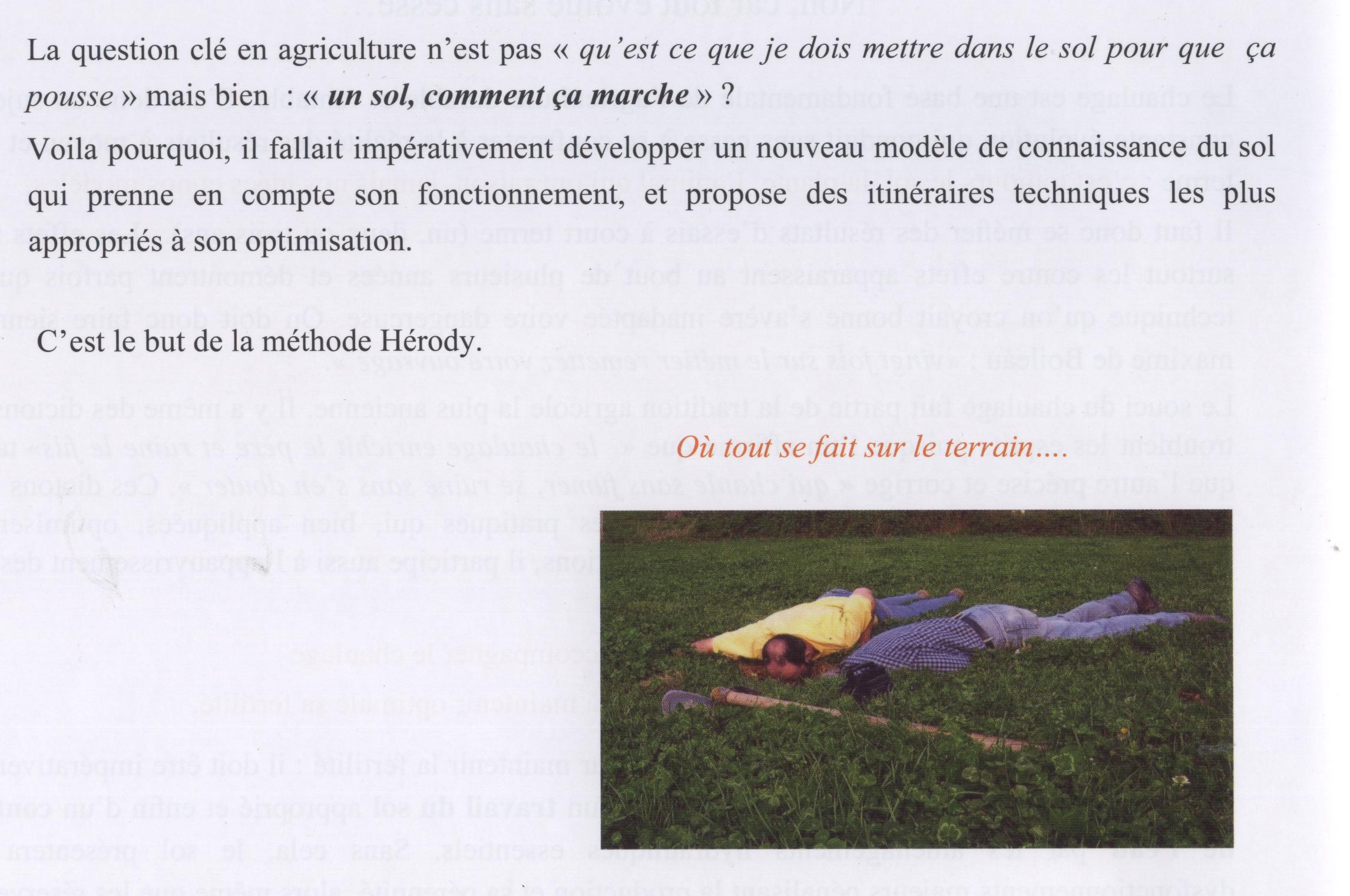 photo De Yves Hérody couché face sur une parcelle car tout se fait sur le terrain