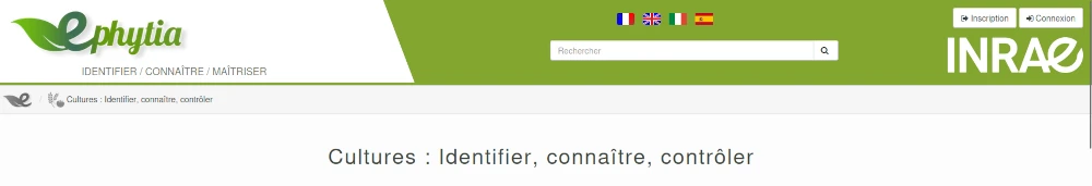 bandeau d'accueil du site Ephytia de l'Inrae et Koppert